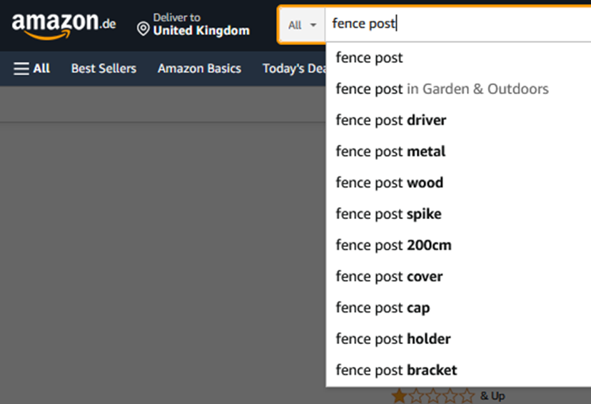 Amazon search bar with suggested search terms