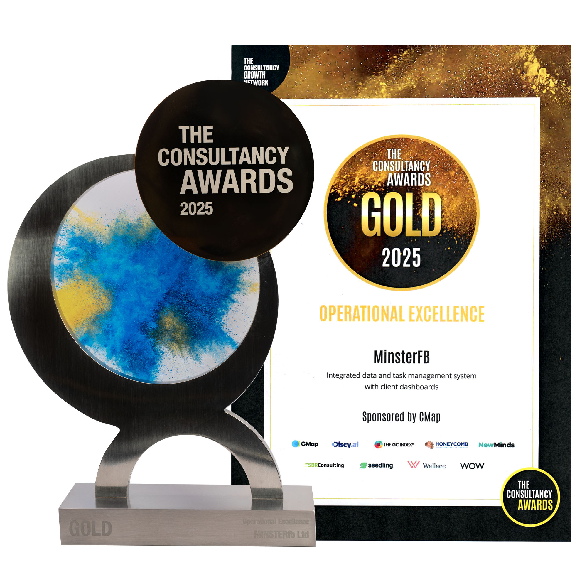 Consultancy Award - Operational Excellence - Trophy and Certificate